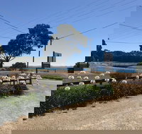 Penguin  Pardalote Coffee House - Lightning Ridge Tourism