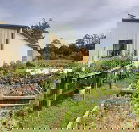Springfield Tea Room - Lightning Ridge Tourism