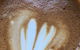 Two Folk Espresso - thumb 2