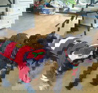 McDonalds Restaurant - Lightning Ridge Tourism