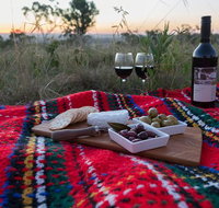 Bunnyconnellen Olive Grove  Vineyard - Lightning Ridge Tourism