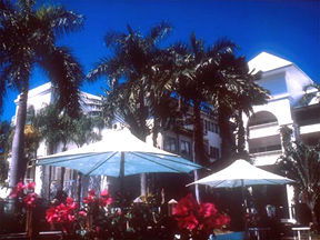 Alamanda Palm Cove - Lightning Ridge Tourism 1