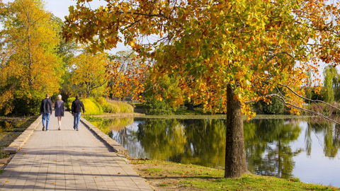 Crowne Plaza Canberra - Lightning Ridge Tourism 17