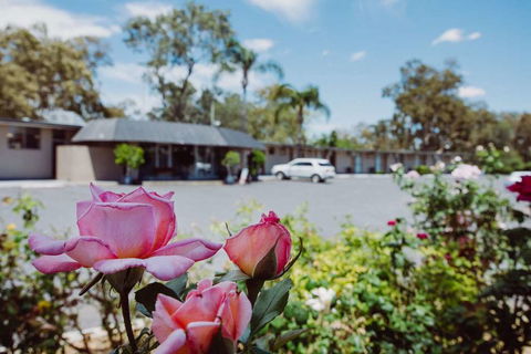 Artesian Spa Motor Inn - Lightning Ridge Tourism 2