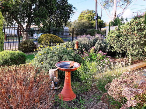 Beautiful Garden House - Lightning Ridge Tourism 21