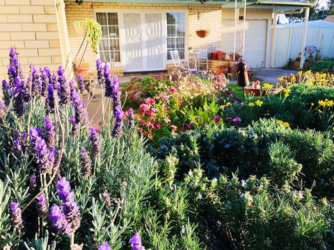 Beautiful Garden House - Lightning Ridge Tourism 9