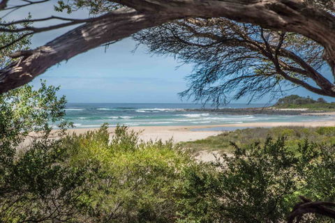 BIG4 Tasman Holiday Parks - Racecourse Beach - Lightning Ridge Tourism 7