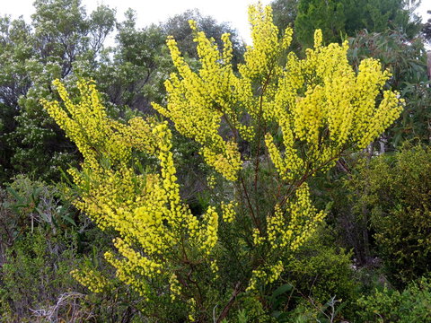 Kestrel Downs - Lightning Ridge Tourism 26