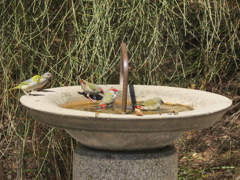 Kestrel Downs - Lightning Ridge Tourism 24