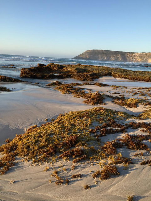 Kestrel Downs - Lightning Ridge Tourism 34