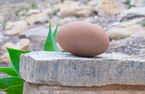 Kestrel Downs - Lightning Ridge Tourism 30