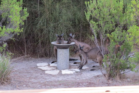 Kestrel Downs - Lightning Ridge Tourism 23