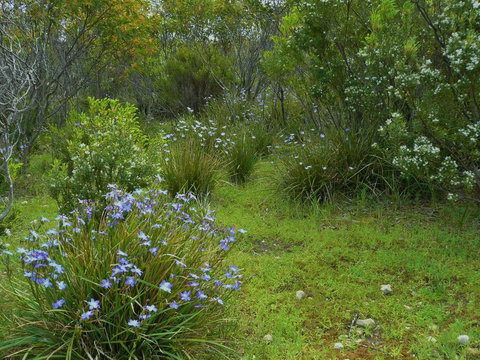 Kestrel Downs - Lightning Ridge Tourism 32
