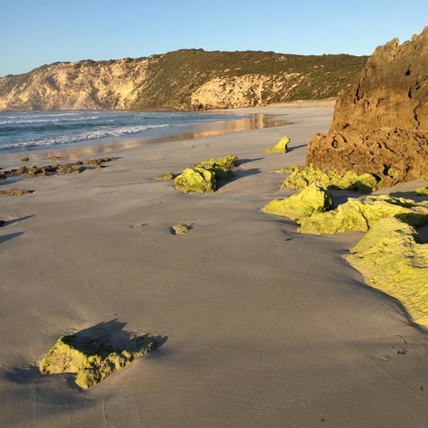 Kestrel Downs - Lightning Ridge Tourism 36