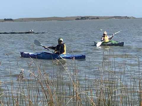 Hydeaway Bay - Own Private Bay + Kayaks - Lightning Ridge Tourism 30