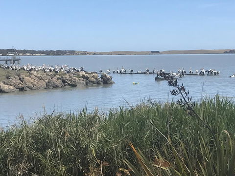 Hydeaway Bay - Own Private Bay + Kayaks - Lightning Ridge Tourism 34