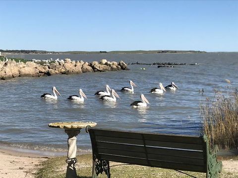 Hydeaway Bay - Own Private Bay + Kayaks - Lightning Ridge Tourism 18