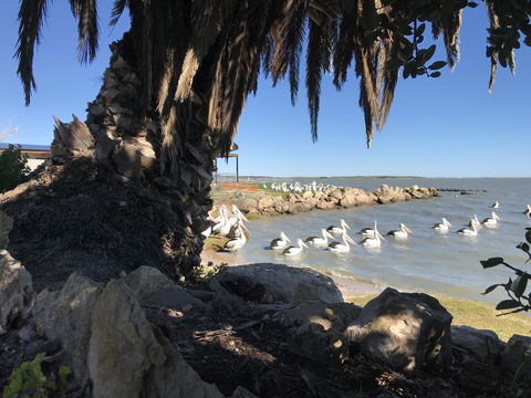 Hydeaway Bay - Own Private Bay + Kayaks - Lightning Ridge Tourism 17