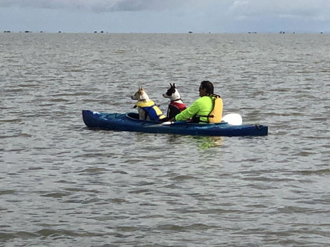 Hydeaway Bay - Own Private Bay + Kayaks - Lightning Ridge Tourism 31