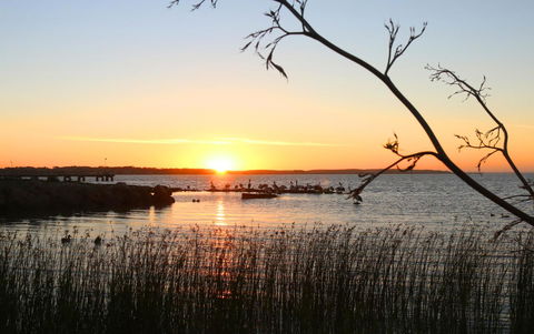 Hydeaway Bay - Own Private Bay + Kayaks - Lightning Ridge Tourism 36