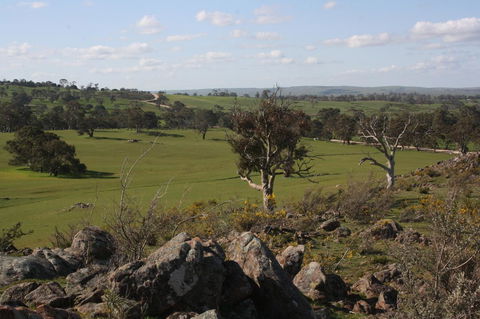 Rabbiters Hut - Lightning Ridge Tourism 28