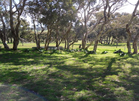 Wenton Farm Holiday Cottages - Lightning Ridge Tourism 1