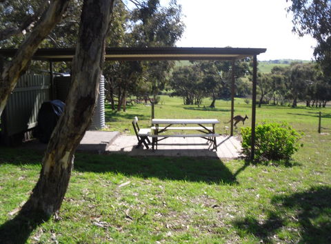 Wenton Farm Holiday Cottages - Lightning Ridge Tourism 15