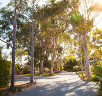 Modra's Apartments - Lightning Ridge Tourism