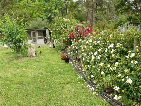 Camawald Coonawarra Cottage B&B - Lightning Ridge Tourism 3