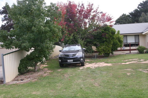 Owl Place In Hahndorf - Lightning Ridge Tourism 5