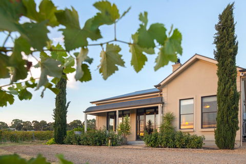 Barossa Shiraz Estate - Lightning Ridge Tourism 2