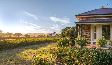 Barossa Shiraz Estate - Lightning Ridge Tourism 6