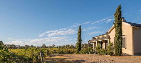 Barossa Shiraz Estate - Lightning Ridge Tourism 13