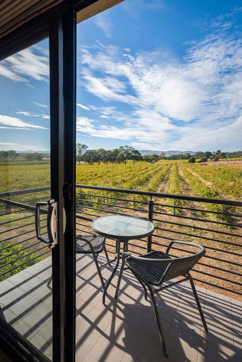 Barossa Shiraz Estate - Lightning Ridge Tourism 33