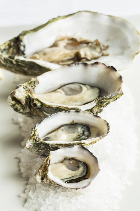 Port Lincoln Hotel - Lightning Ridge Tourism 29