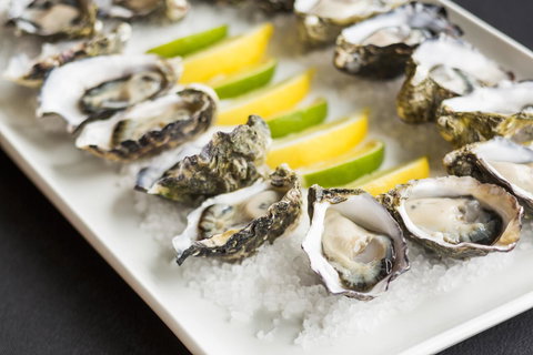 Port Lincoln Hotel - Lightning Ridge Tourism 35