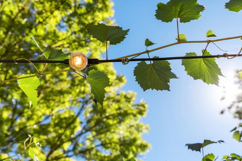 Adelaide Hills Retreats - Lightning Ridge Tourism 32