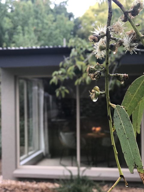 Adelaide Hills Retreats - Lightning Ridge Tourism 9