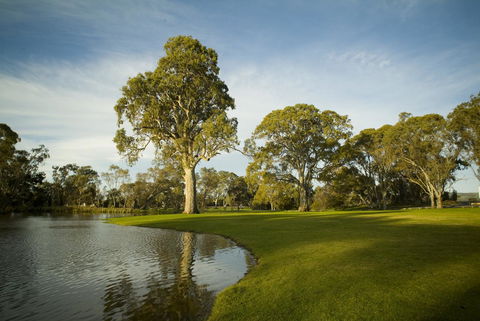 Serafino McLaren Vale - Lightning Ridge Tourism 16