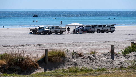 Wallaroo Holiday Park - Lightning Ridge Tourism 9