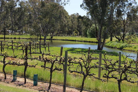 OXENBERRY FARM - Lightning Ridge Tourism 19