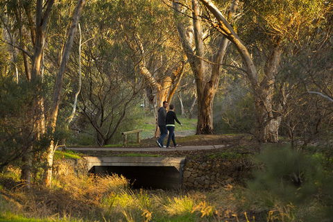 BIG 4 Barossa Tourist Park - Lightning Ridge Tourism 26