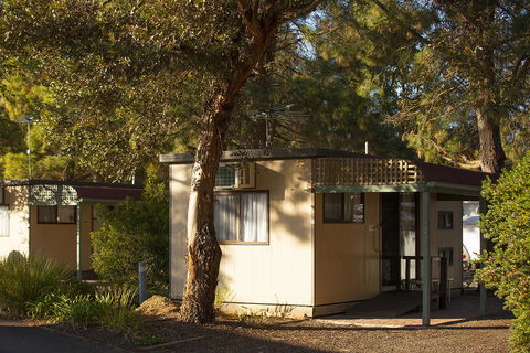 BIG 4 Barossa Tourist Park - Lightning Ridge Tourism 33