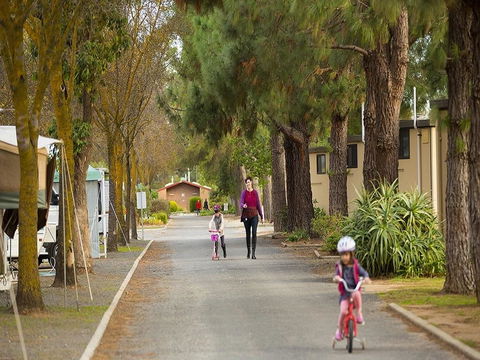 BIG 4 Barossa Tourist Park - Lightning Ridge Tourism 36