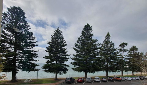 Pier Hotel Port Lincoln - Lightning Ridge Tourism 12