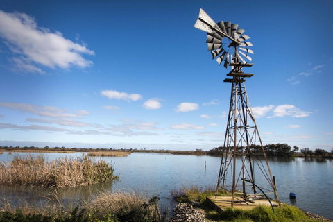 Limestone Ridge - Lightning Ridge Tourism 16