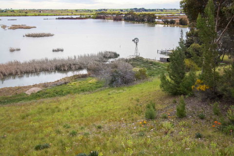 Limestone Ridge - Lightning Ridge Tourism 17