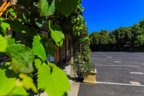 Country Roads Motor Inn Naracoorte - Lightning Ridge Tourism 16