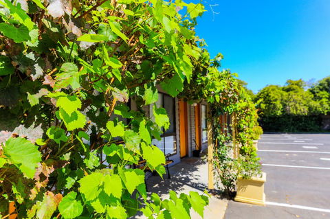Country Roads Motor Inn Naracoorte - Lightning Ridge Tourism 18