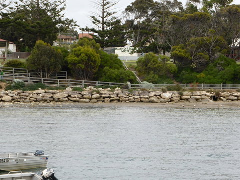 Island Motel Kingscote - Lightning Ridge Tourism 4